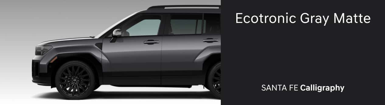 Santa FE SE Ecotronic Gray Matte
