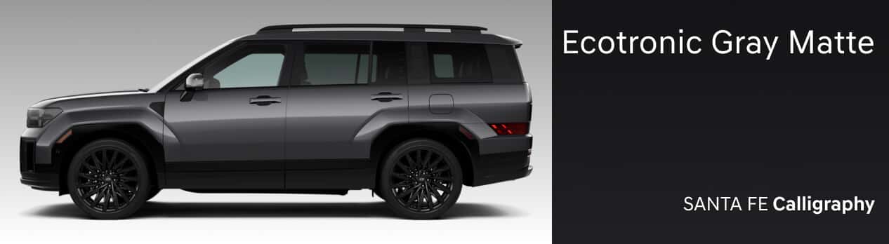 Santa FE SE Ecotronic Gray Matte