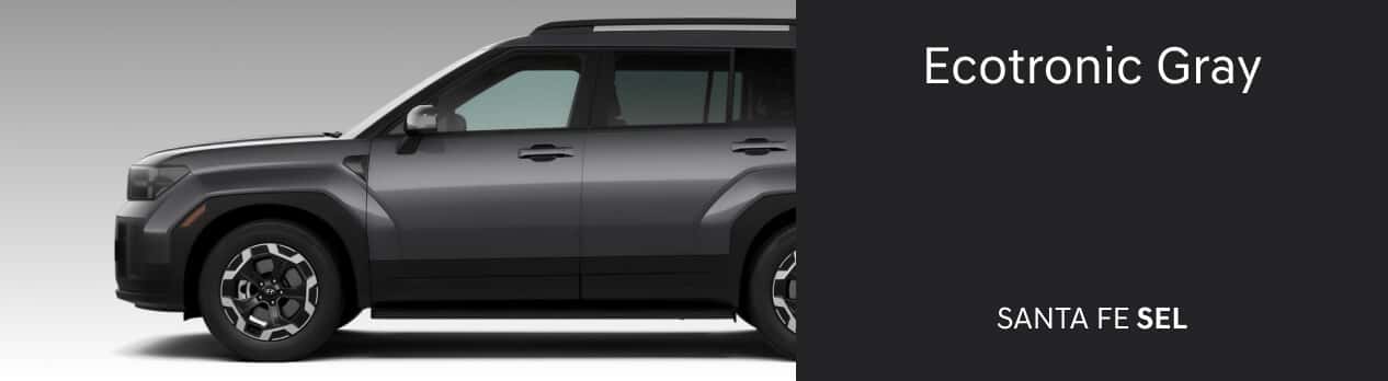 Santa FE SE Ecotronic Gray
