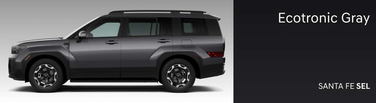 Santa FE SE Ecotronic Gray