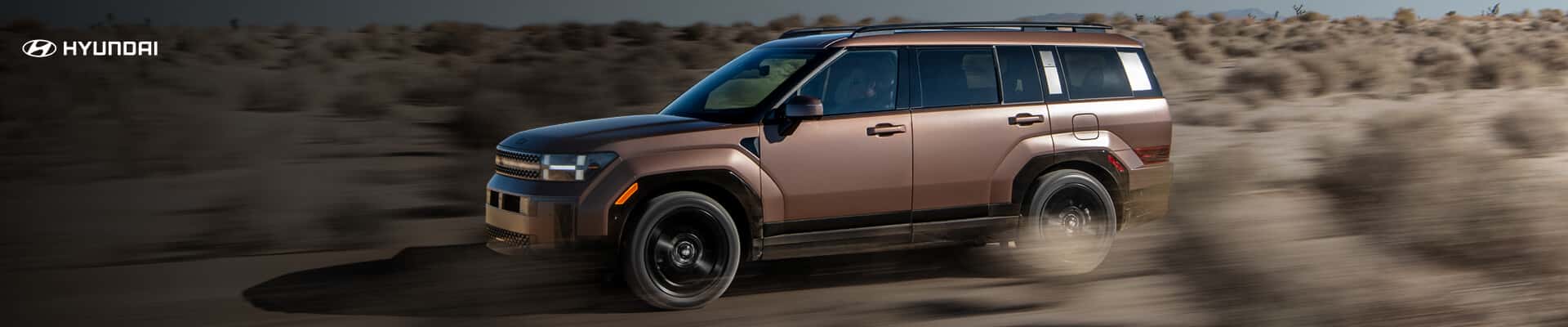 Hyundai Santa Fe in Brown