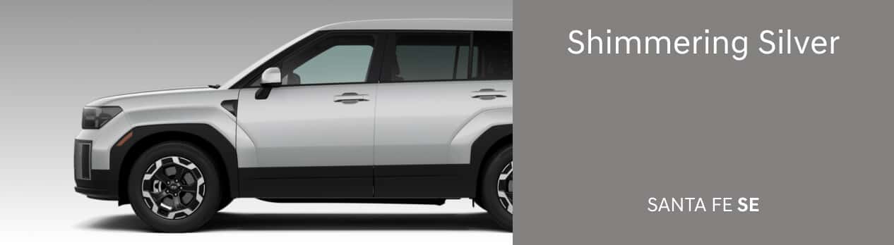 Santa FE SE Shimmering Silver