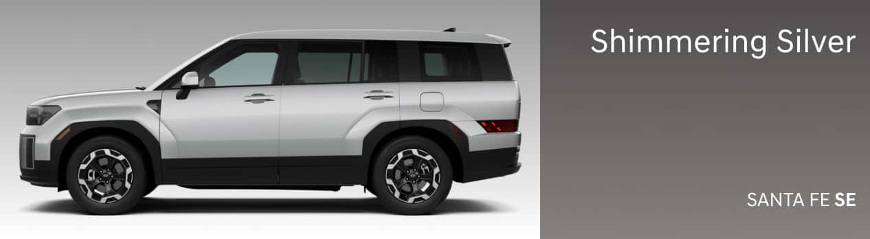 Santa FE SE Shimmering Silver