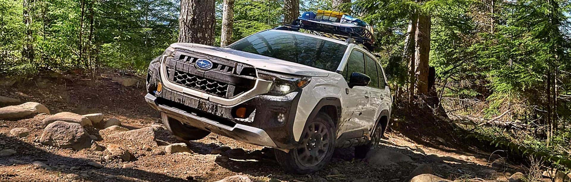 2026 Subaru Forester Wilderness