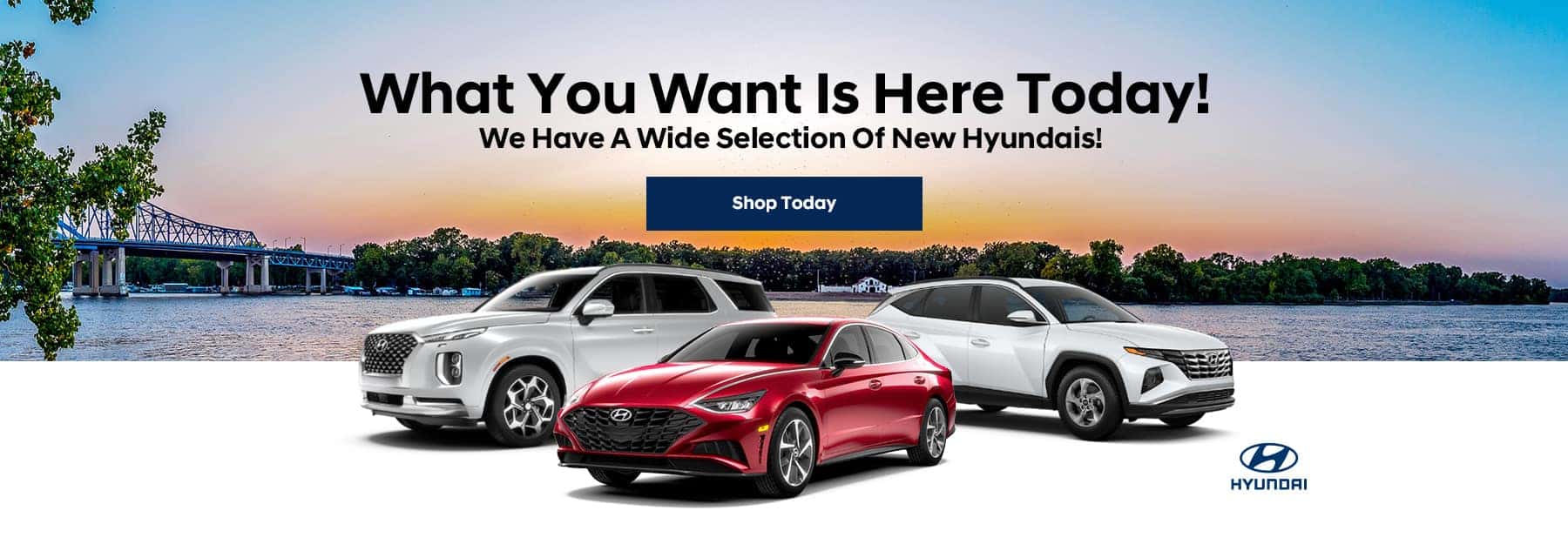 We Have Vehicles