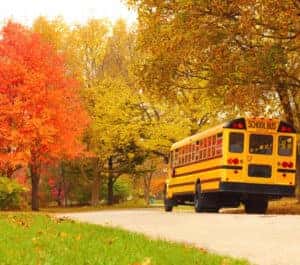 School bus on a country road in autumn