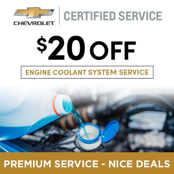 $20 off engine coolant system service