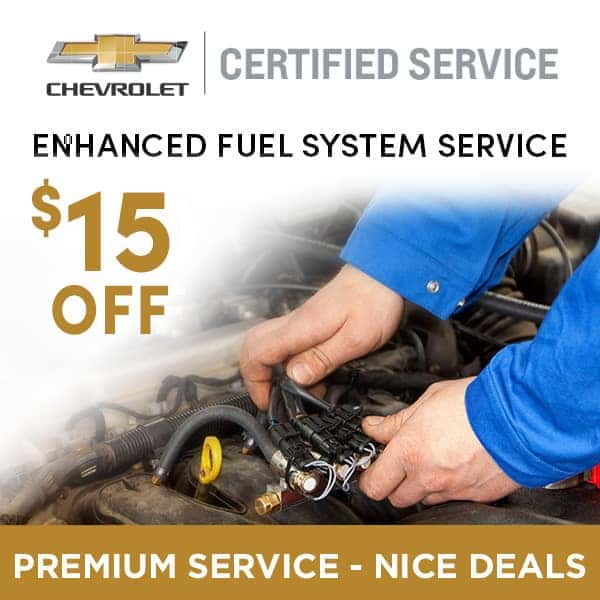 fuel system