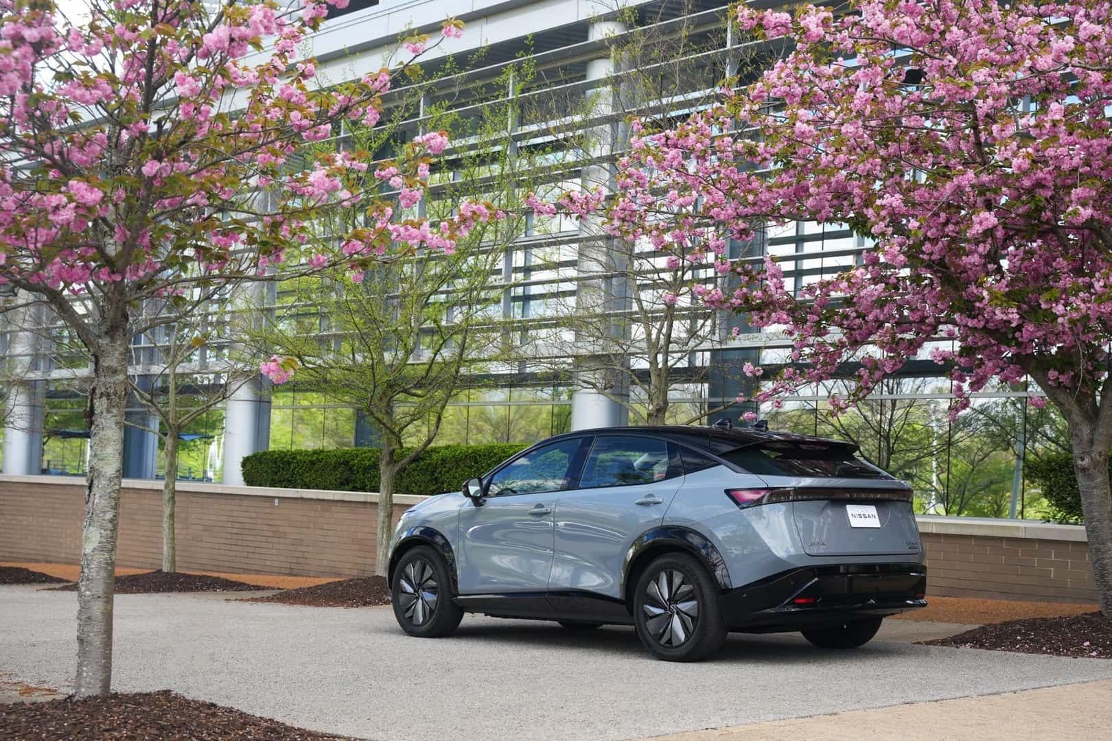 The Majestic Cherry Blossoms, Surrounding The Resourceful Nissan Ariya