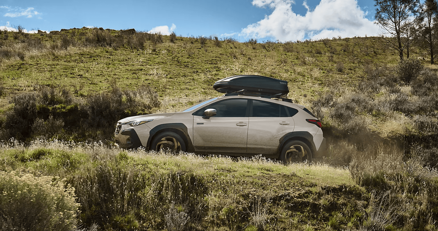 2026 ascent