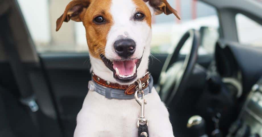 Visit Our Dealership!