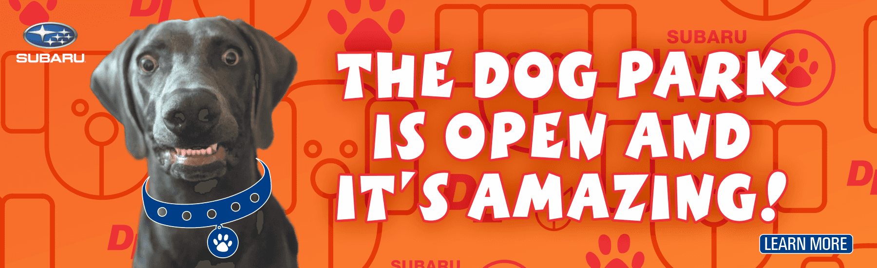 DogPark-openNow-Subaru-1