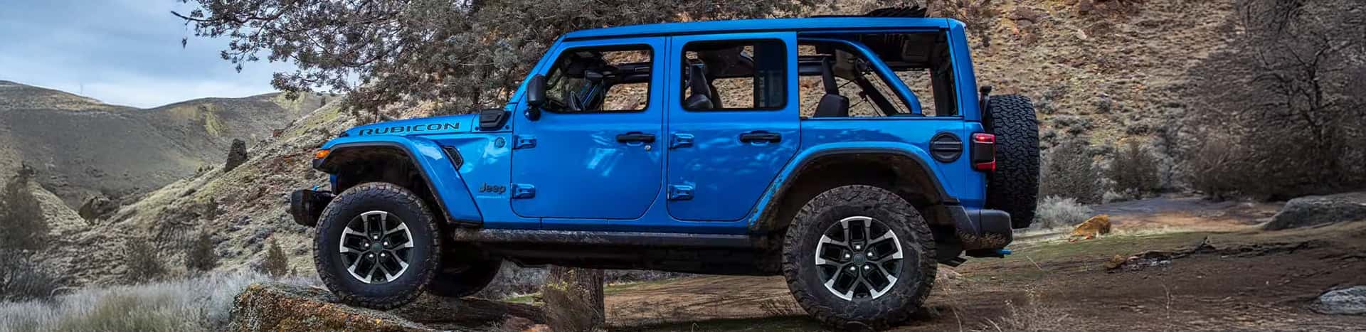 wrangler