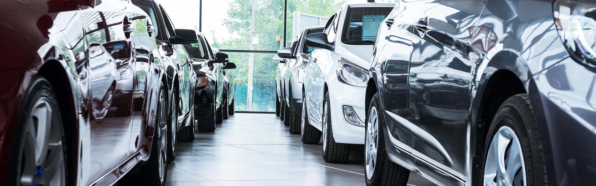 dealership