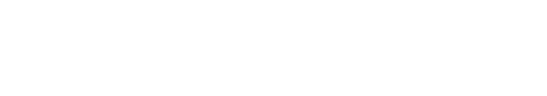 Earnhardt auto center