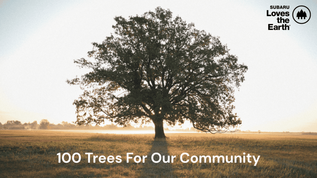 Subaru Loves the Earth 100 Trees For Our Community Eide Subaru