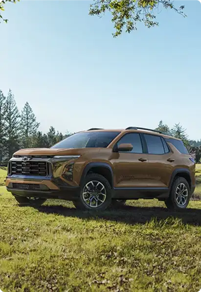 Bronze Chevrolet Equinox parked on a grassy lot near trees