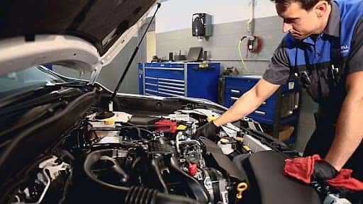 Diagnostic Coupon