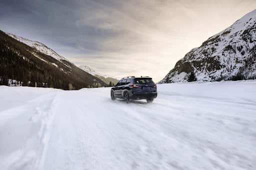 Subaru Maintenance for Albuquerque drivers