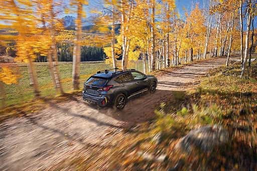 2027 Toyota RAV4 near Rio Rancho NM