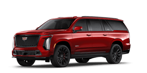 ESCALADE V