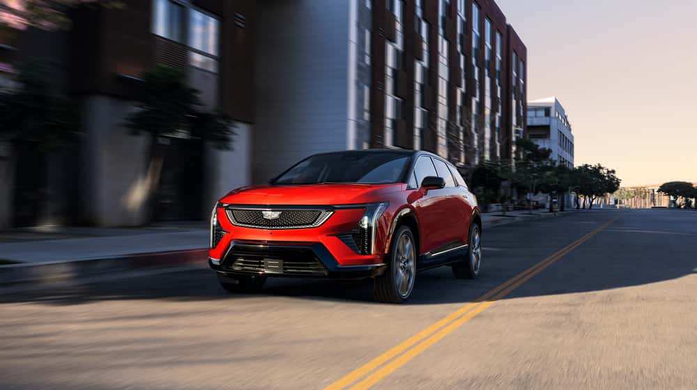 Findlay Cadillac Henderson Showroom