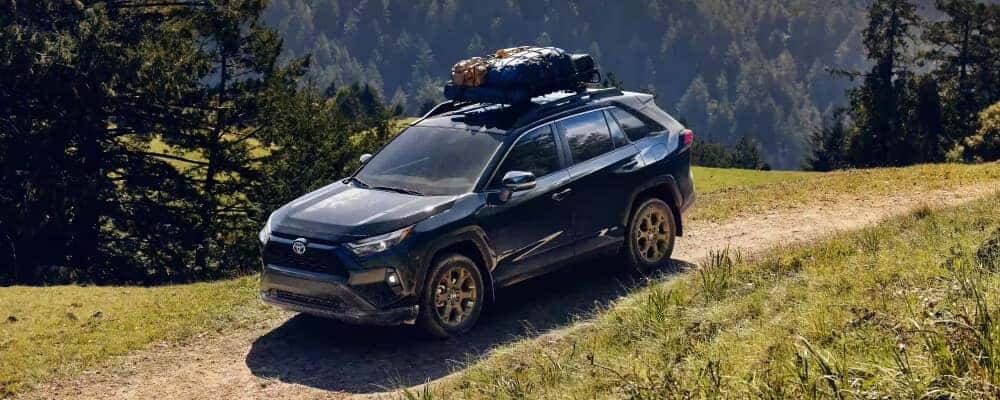 Best toyota hybrid model sales