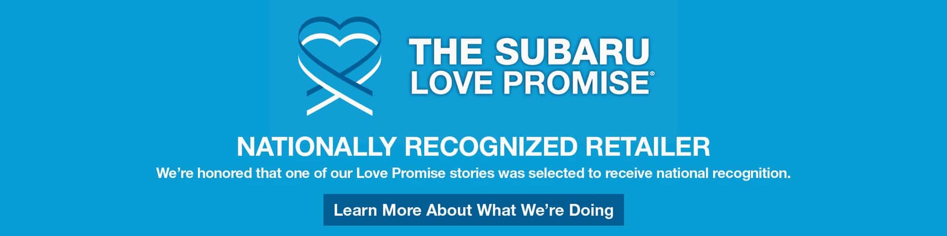 Blue Love Promise Banner