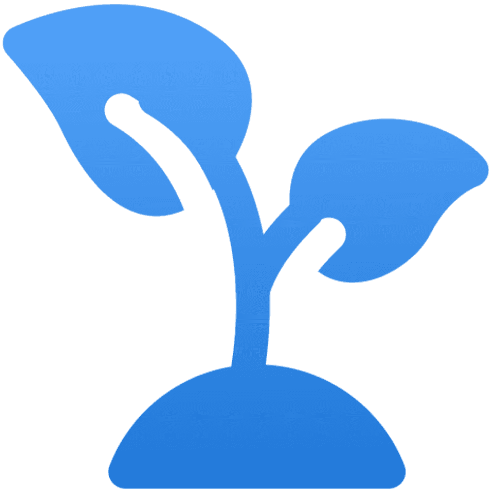 sprout