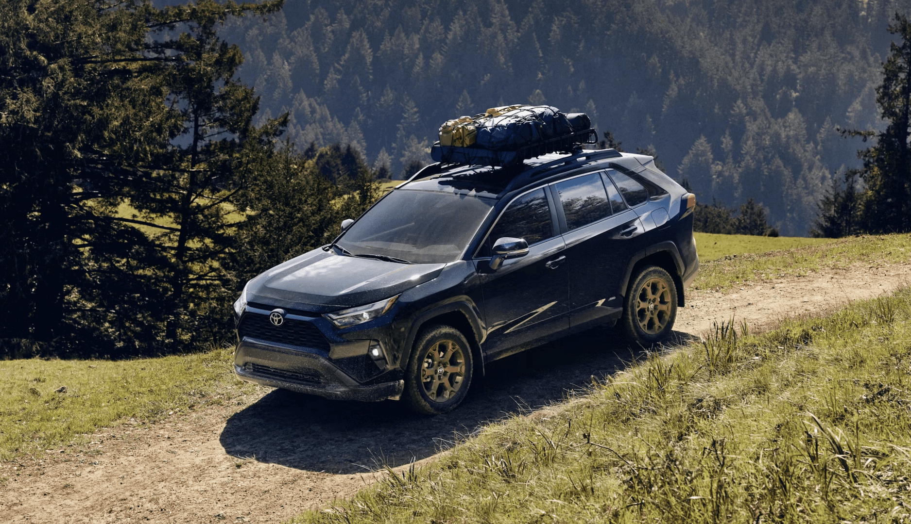 New 2025 RAV4 with cargo rack for sale near Spring