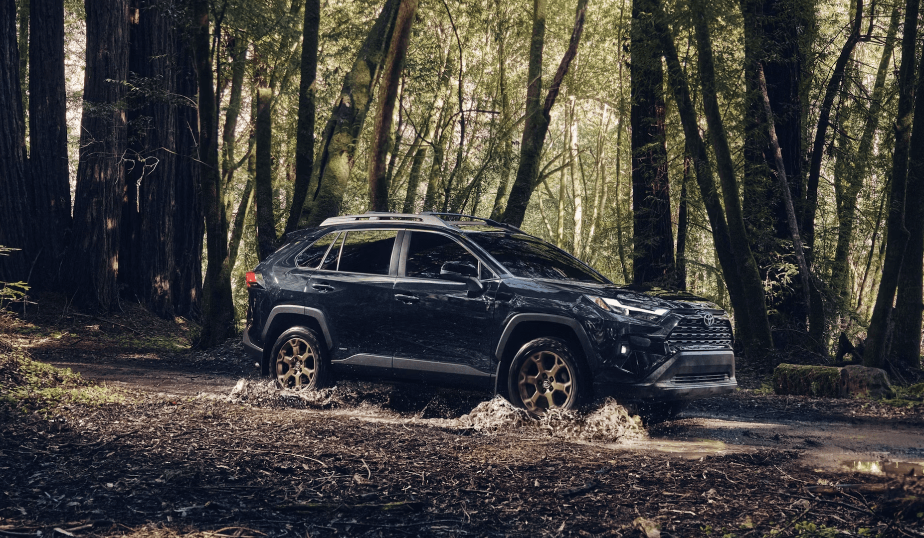 New black 2025 Toyota RAV4 for sale near The Woodlands