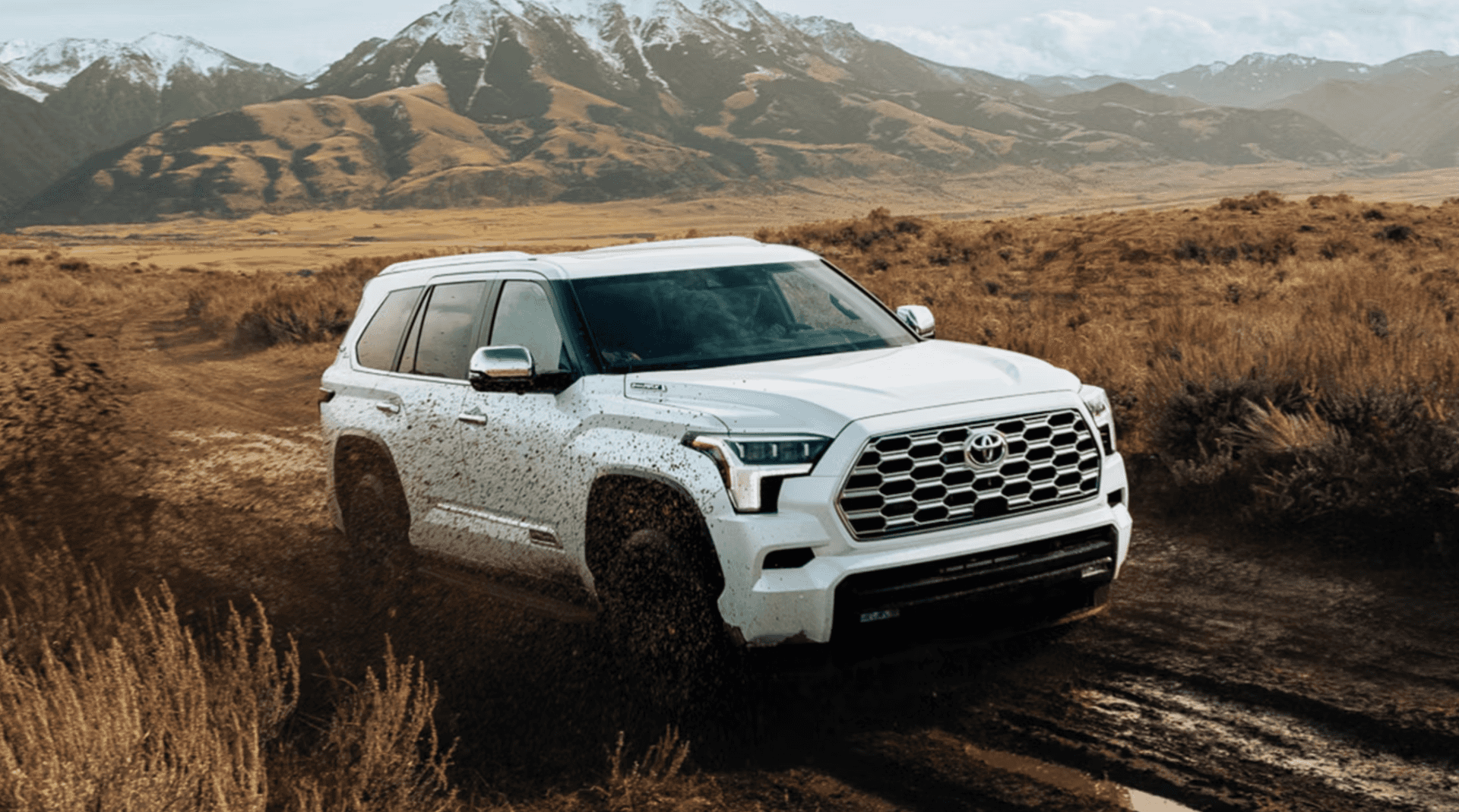 2026 Toyota Sequoia Near Me | Houston, TX | Fred Haas Toyota Country