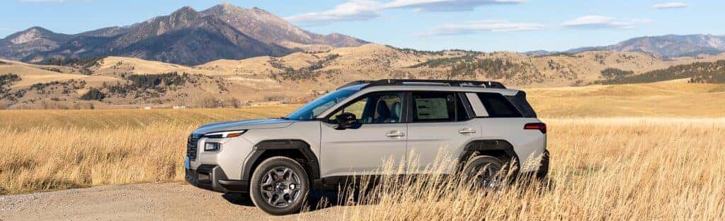 Subaru Outback Wilderness