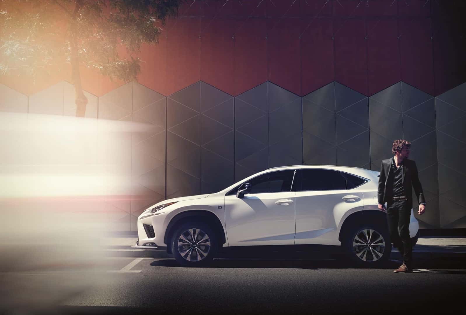 Discover Our New Lexus Vehicles