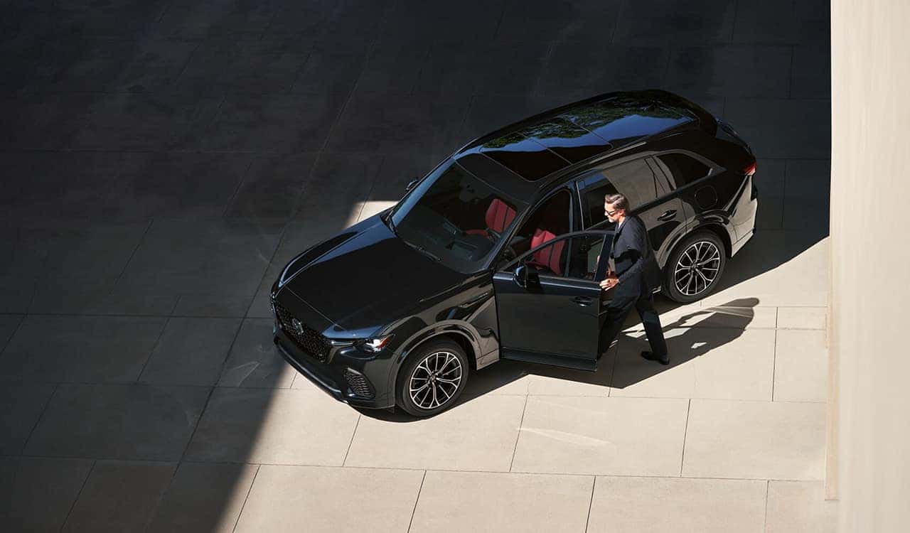 Highlights of Our EV Selection