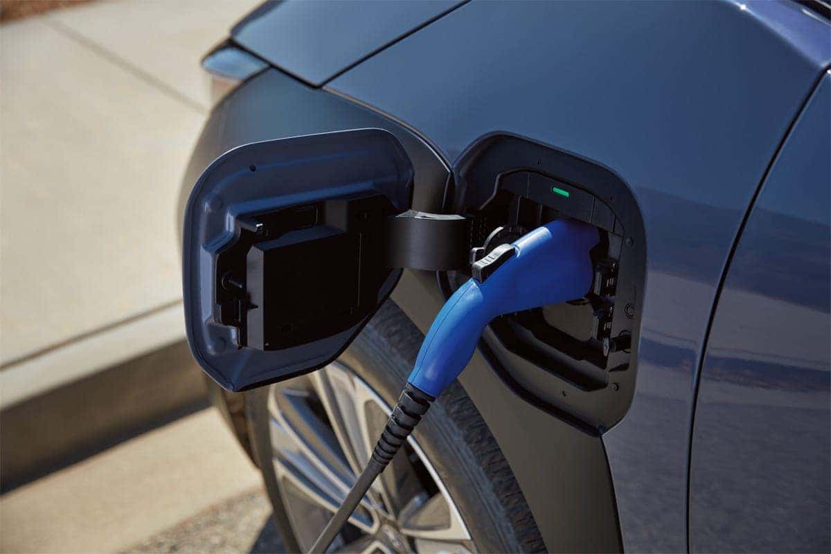 Solterra Plug in close up