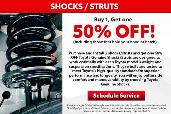 Shocks and Struts