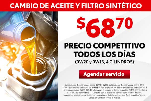 Synthetic Oil and Filter Change
