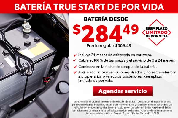 True Start Lifetime Battery