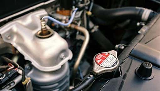 Fuel System Service