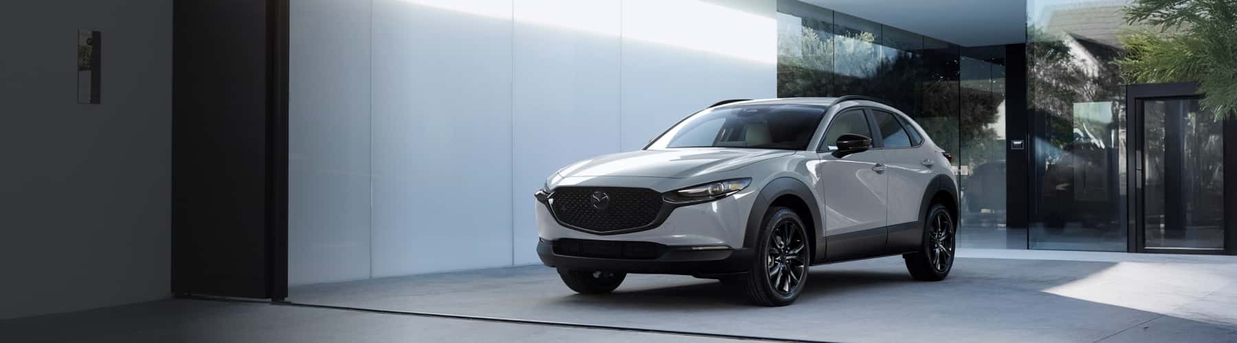 CX 30