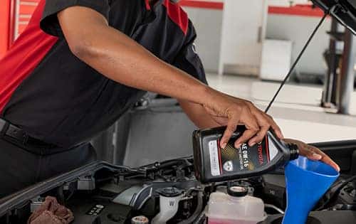 OIL CHANGE + TIRE ROTATION