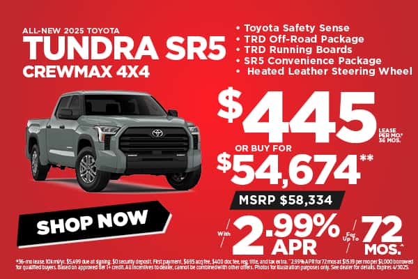 NEW 2025 TOYOTA tundra