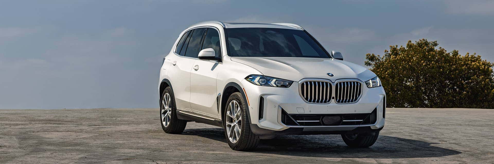 2026 bmw x5 parked