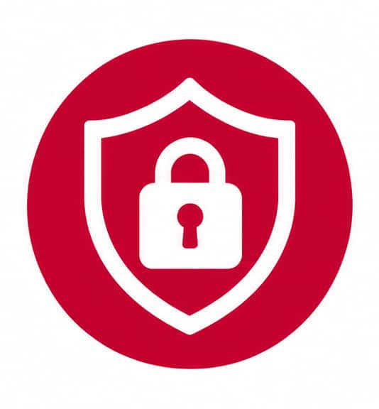 Secure Icon