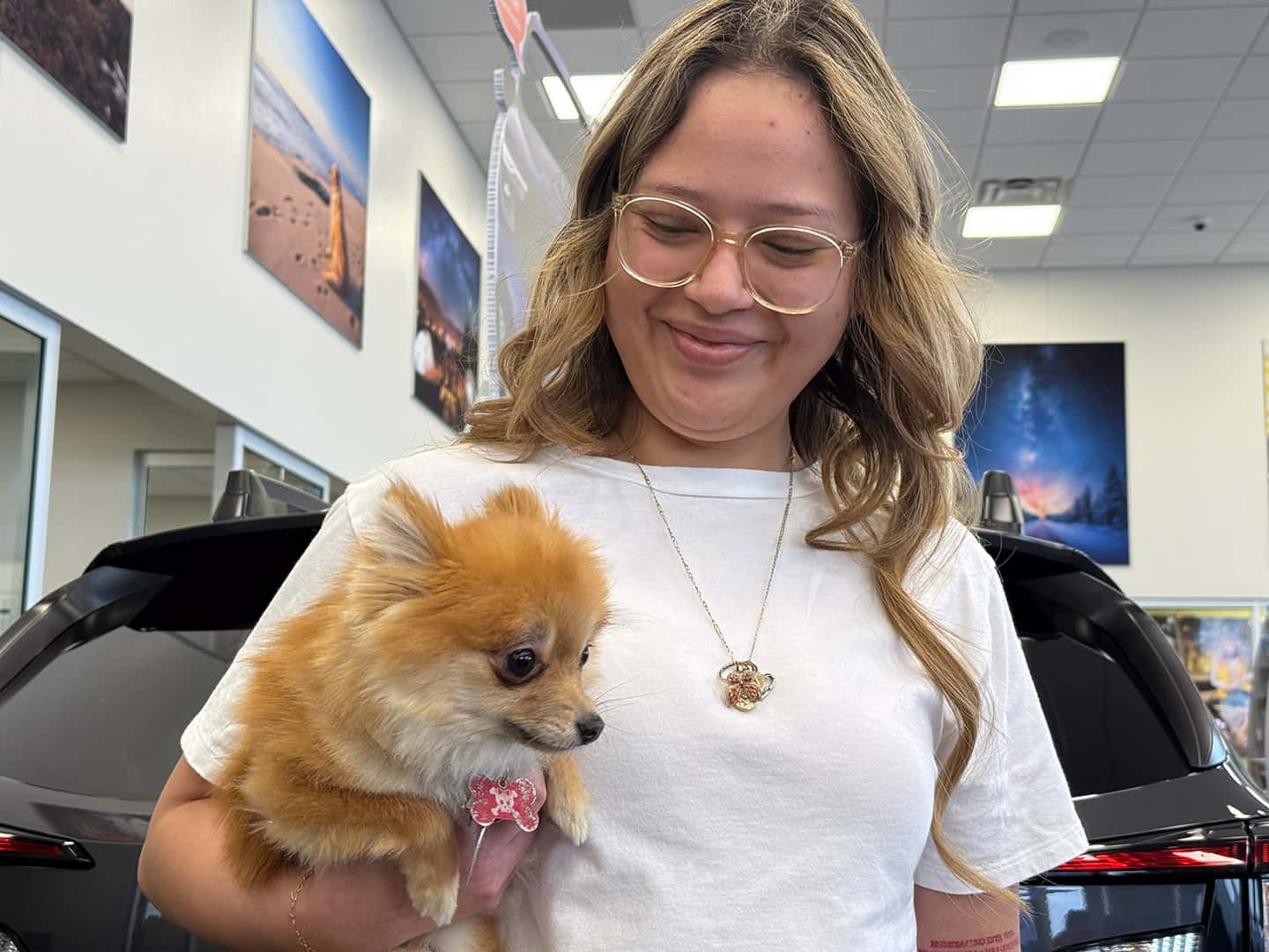 Animal Shelter Clinic