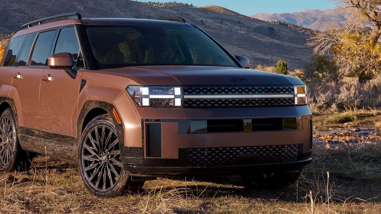 A brown Hyundai Santa Fe parked on dry grass in a desert
