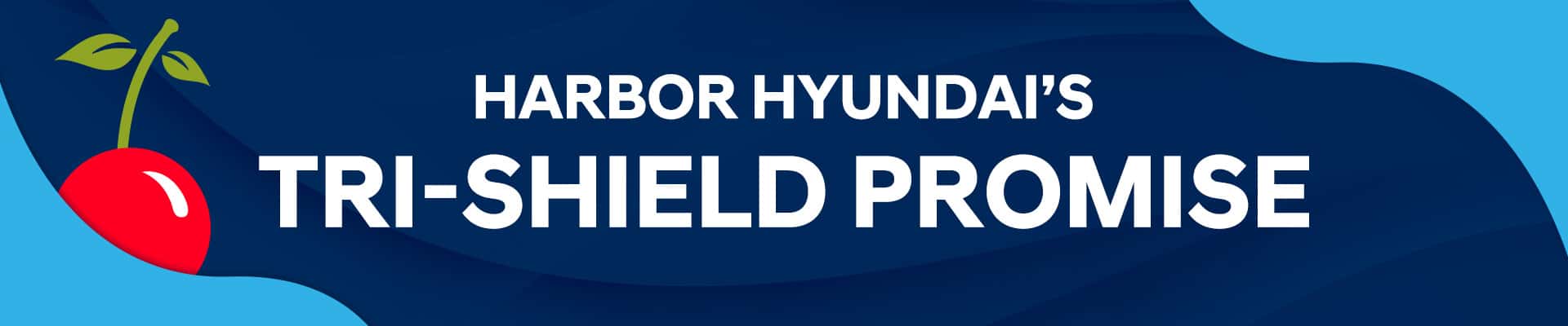 Tri-Shield Promise