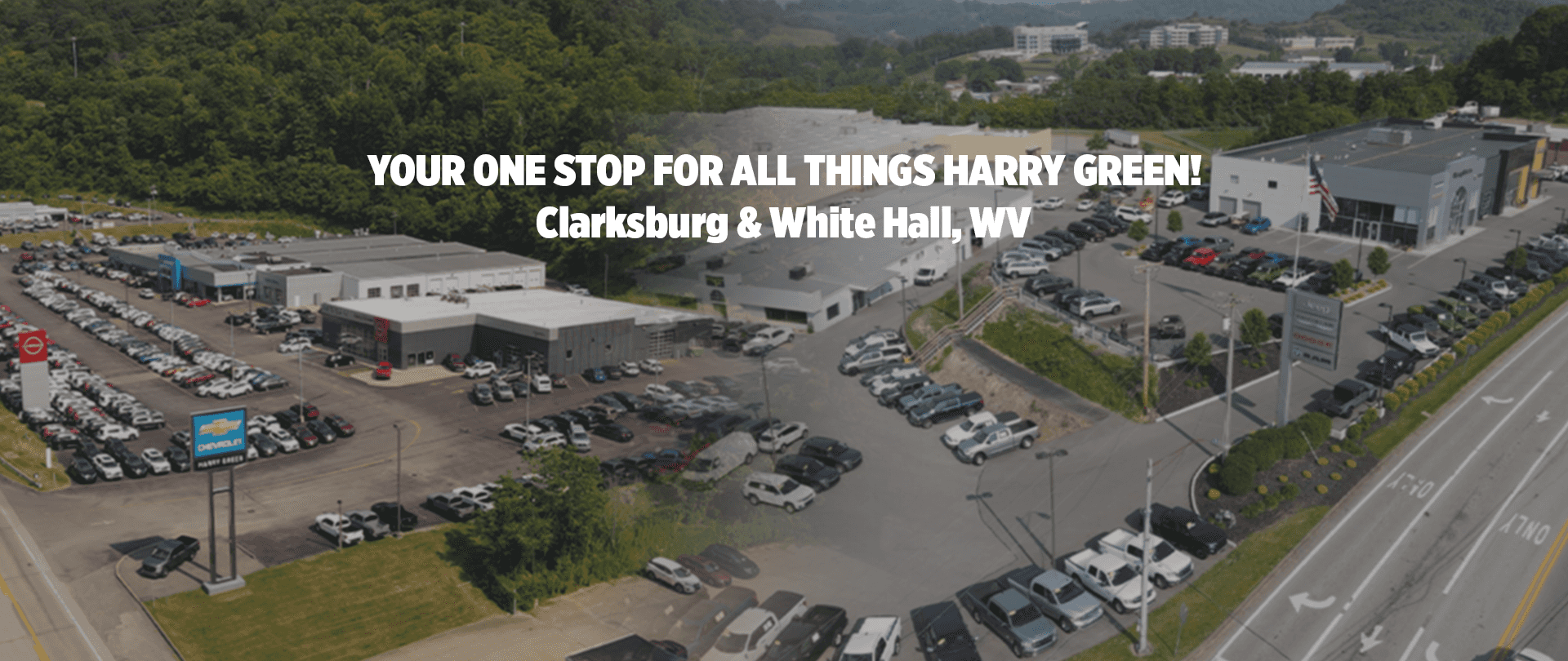 Your One Stop For All Things Harry Green
