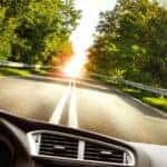 driving through trees toward the sun